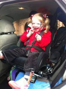 variety car seat